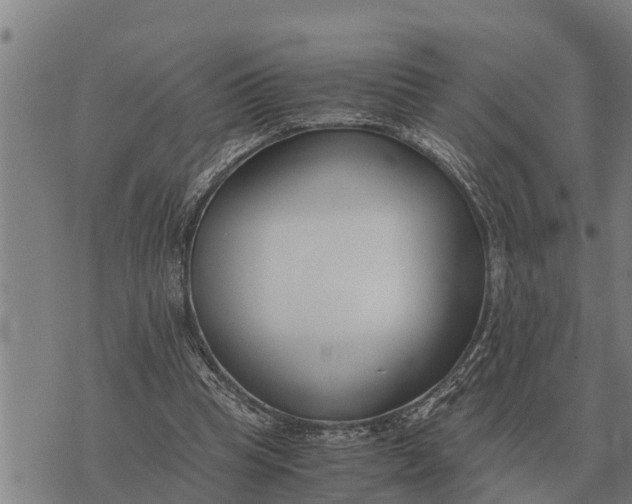 X0000073900345200609011724