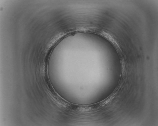 X0000073900346200609011724