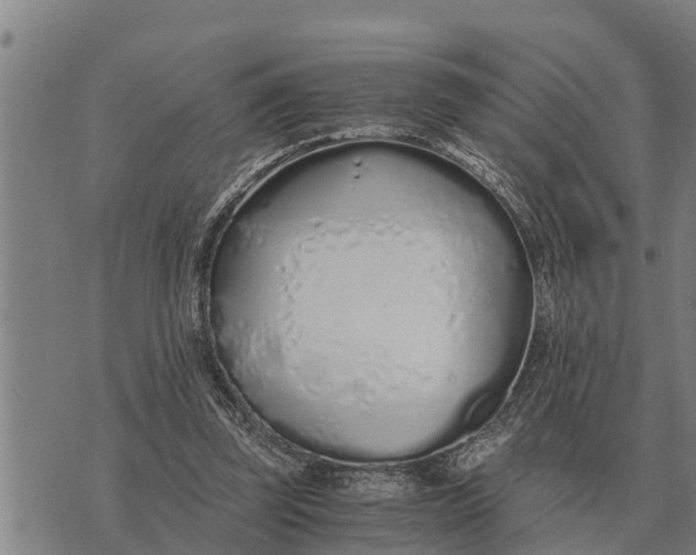 X0000073900347200609011724