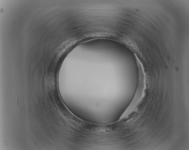 X0000073900348200609011724