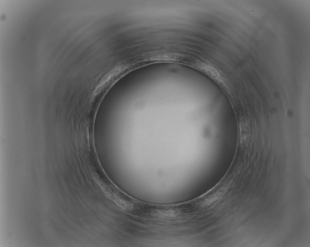 X0000073900349200609011724