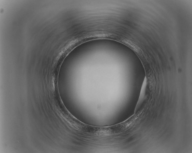 X0000073900350200609011724