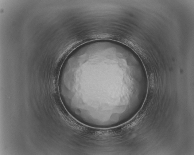 X0000073900351200609011724