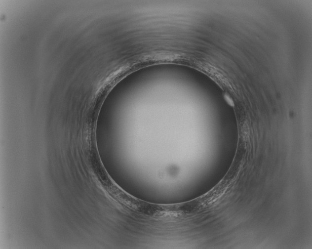 X0000073900352200609011724