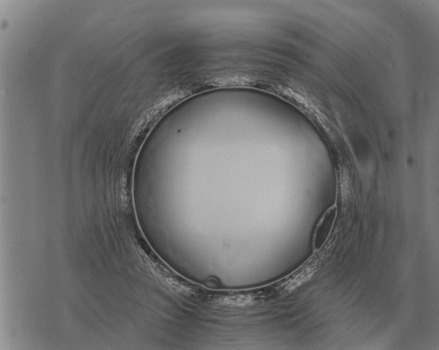 X0000073900353200609011724