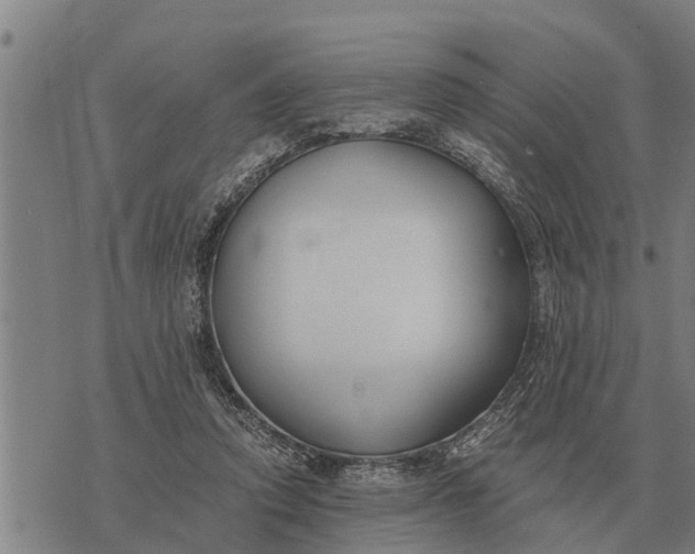 X0000073900354200609011724