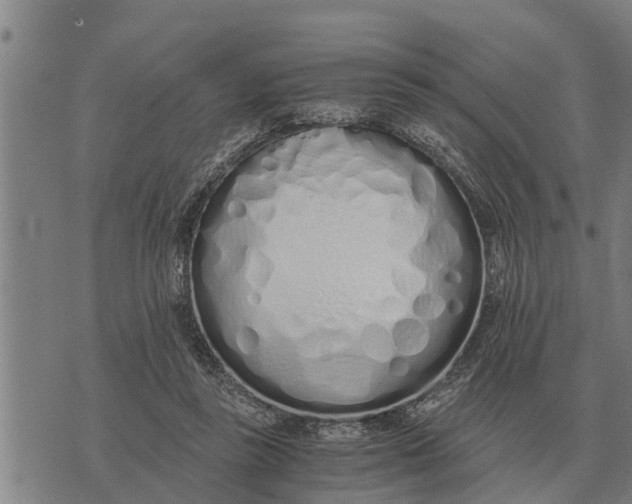 X0000073900355200609011724