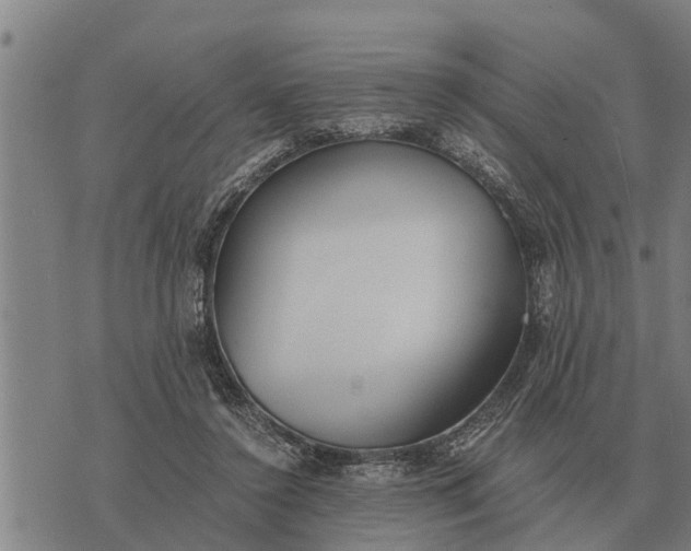 X0000073900356200609011724