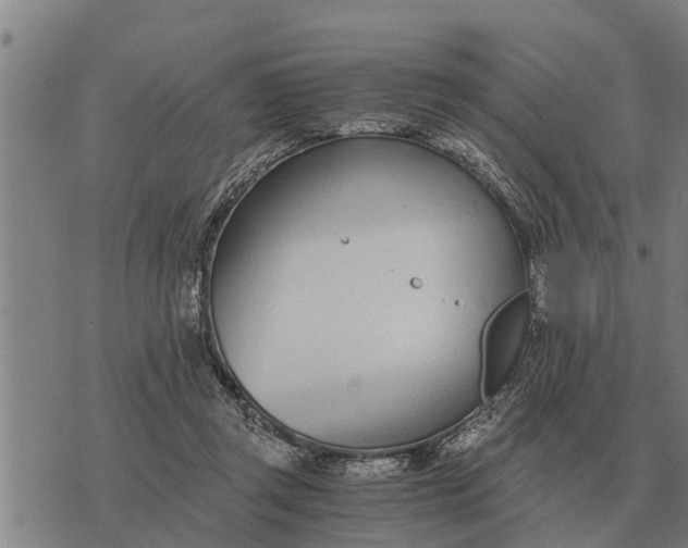 X0000073900357200609011724