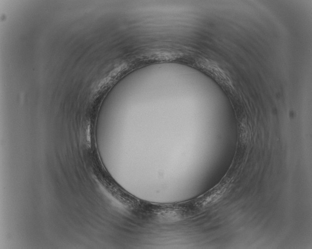 X0000073900358200609011724