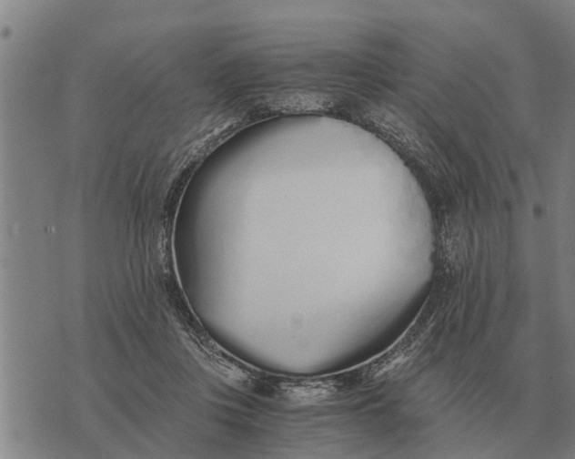 X0000073900359200609011724