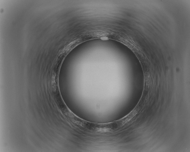 X0000073900360200609011724