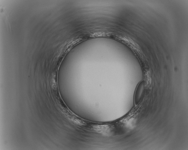 X0000073900361200609011724