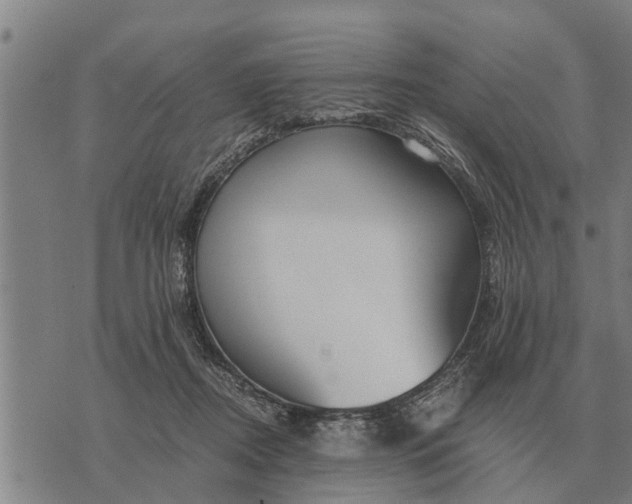 X0000073900362200609011724