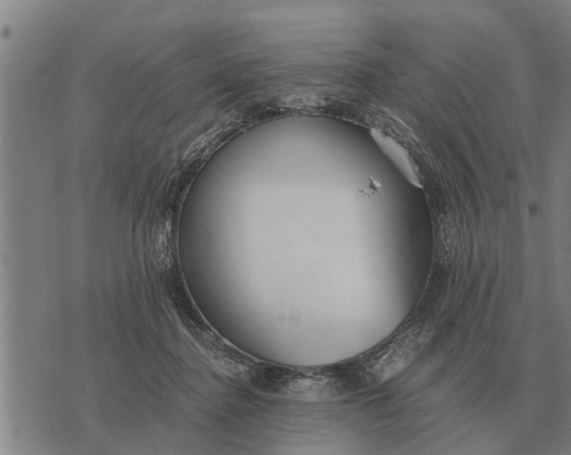 X0000073900364200609011724