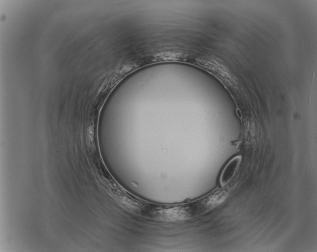 X0000073900365200609011724