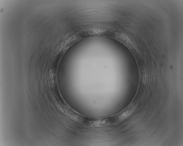 X0000073900366200609011724