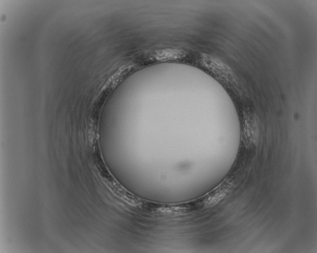 X0000073900367200609011724