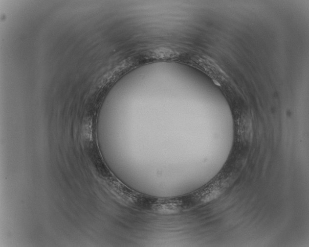 X0000073900368200609011724