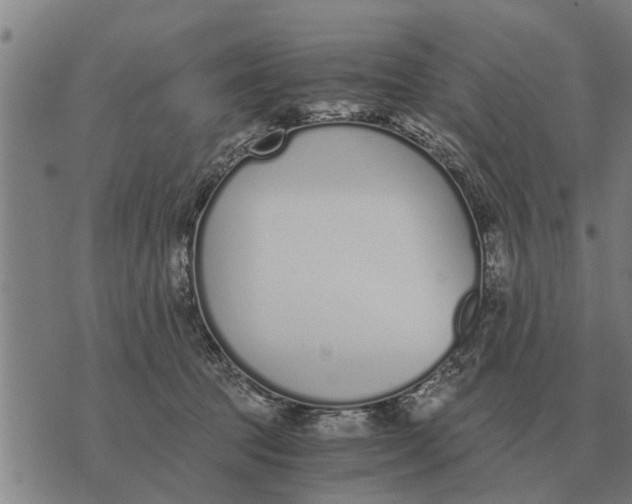 X0000073900369200609011724