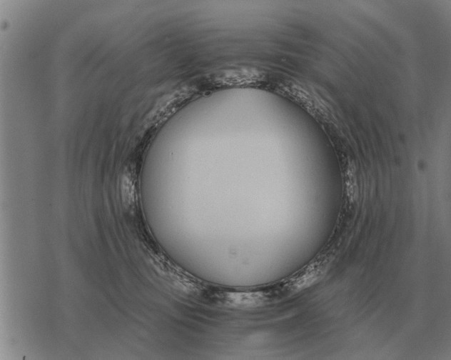 X0000073900371200609011724