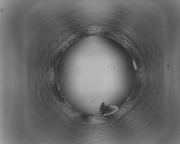 X0000073900372200609011724