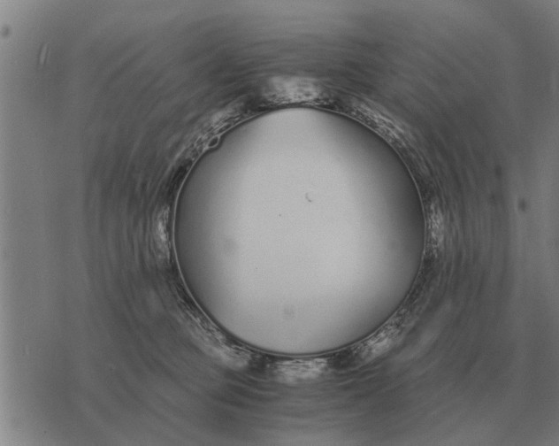 X0000073900373200609011724