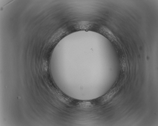 X0000073900374200609011724