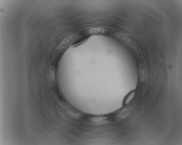 X0000073900375200609011724