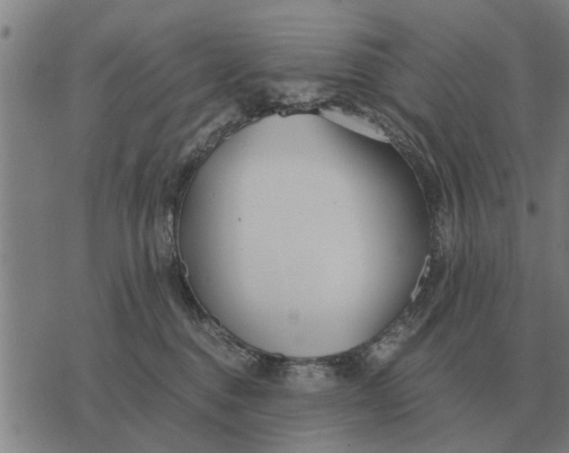 X0000073900376200609011724