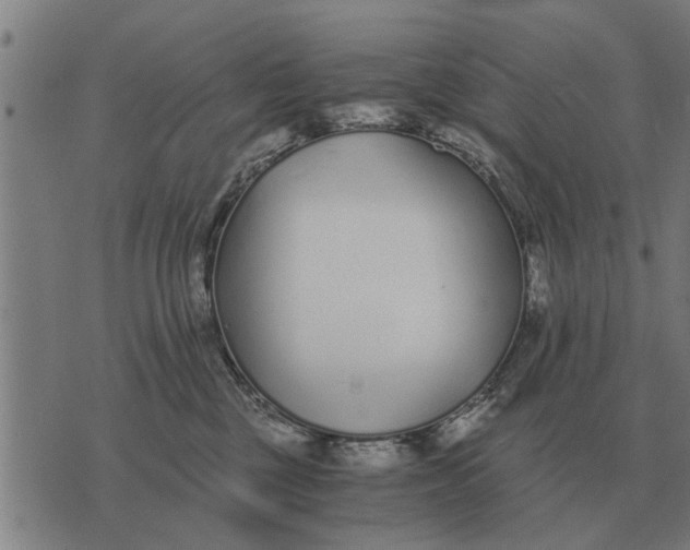 X0000073900377200609011724