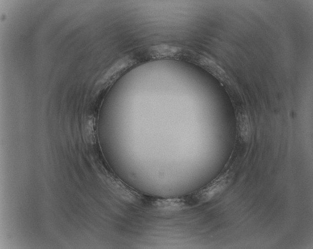 X0000073900378200609011724