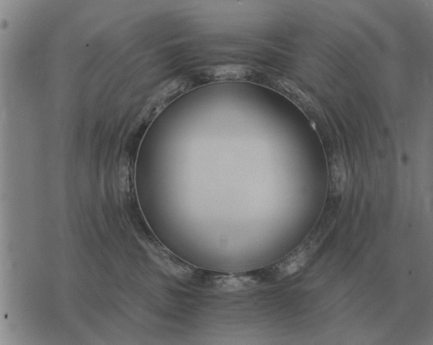 X0000073900379200609011724