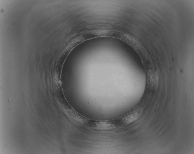 X0000073900380200609011724