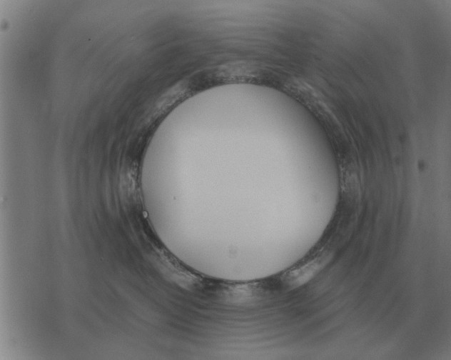 X0000073900382200609011724