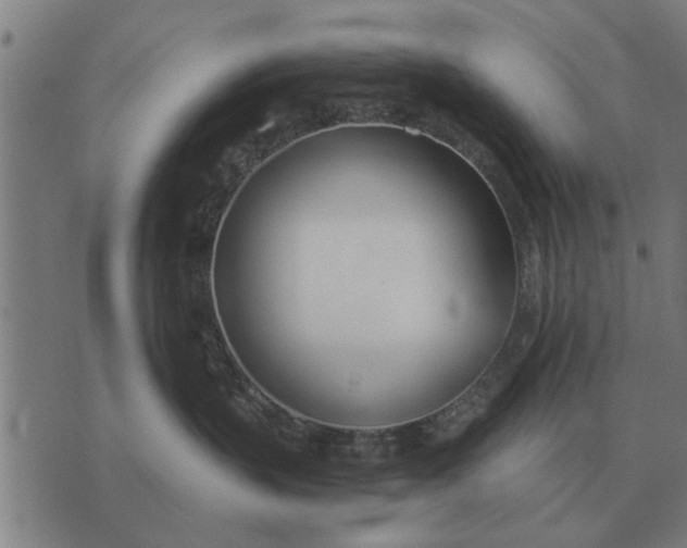 X0000073900383200609011724