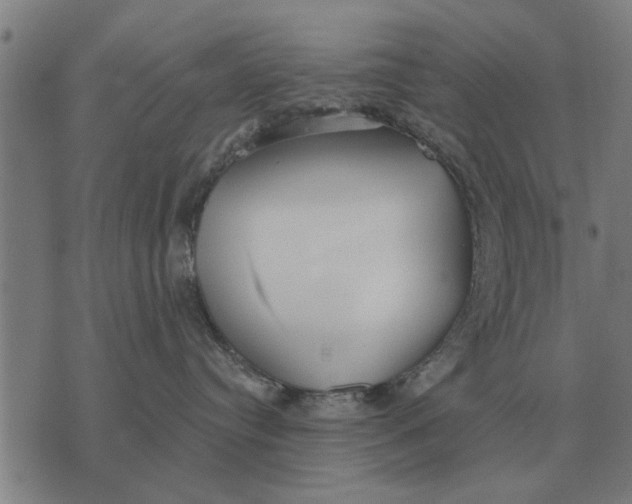 X0000073900384200609011724