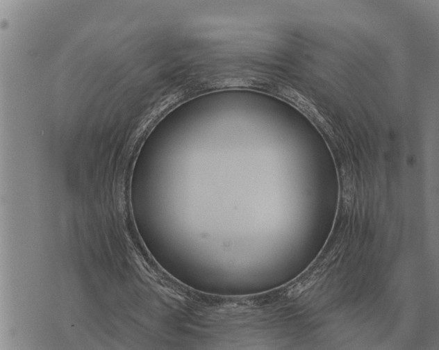 X0000073900386200609011724