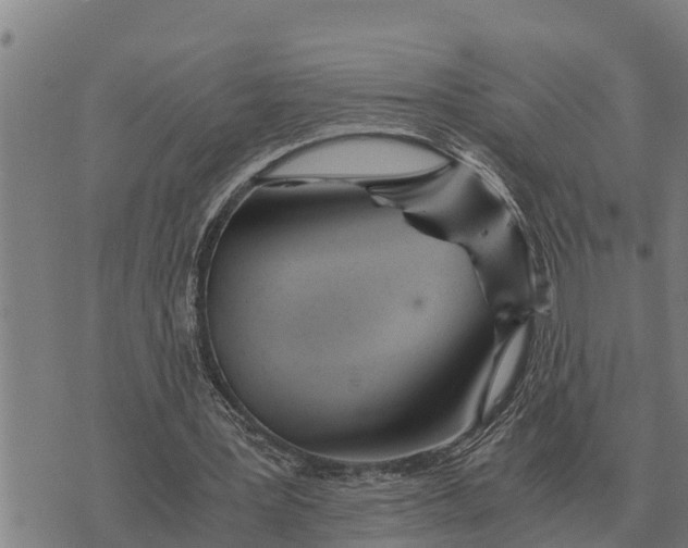 X0000073900387200609011724