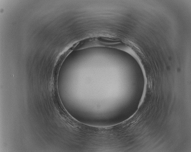 X0000073900388200609011724