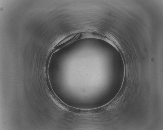 X0000073900389200609011724