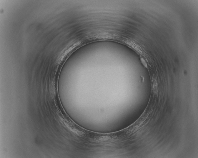 X0000073900390200609011724