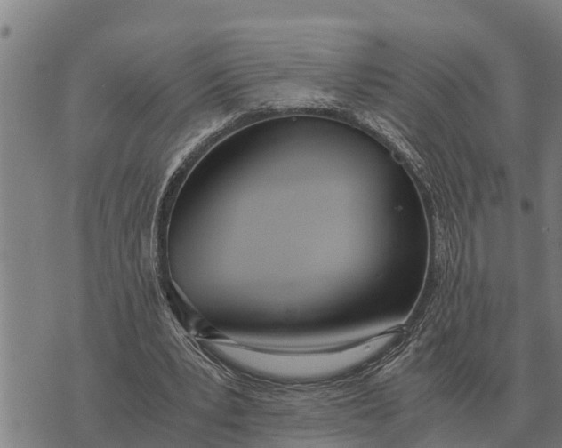 X0000073900391200609011724