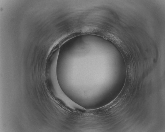 X0000073900392200609011724