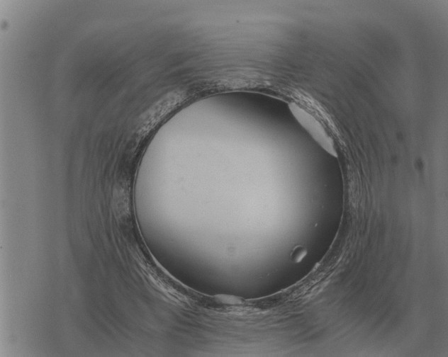 X0000073900393200609011724