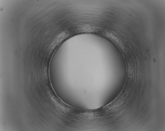 X0000073900394200609011723