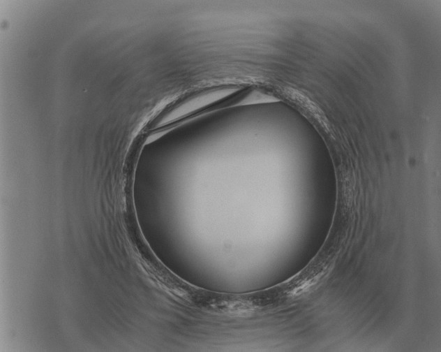 X0000073900395200609011723