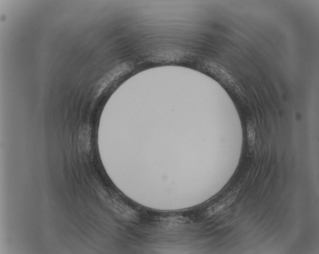 X0000073900396200609011723