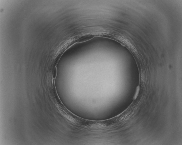 X0000073900397200609011723