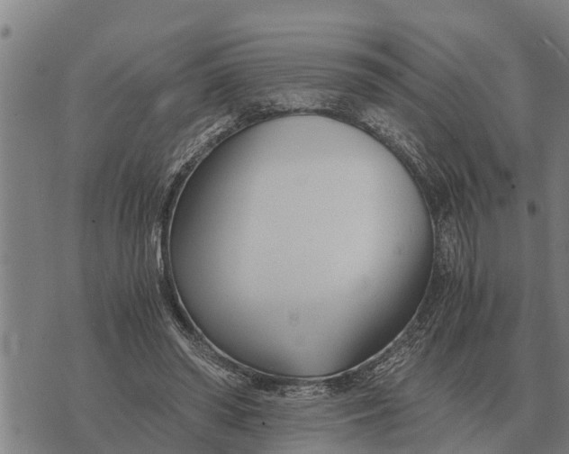 X0000073900398200609011723